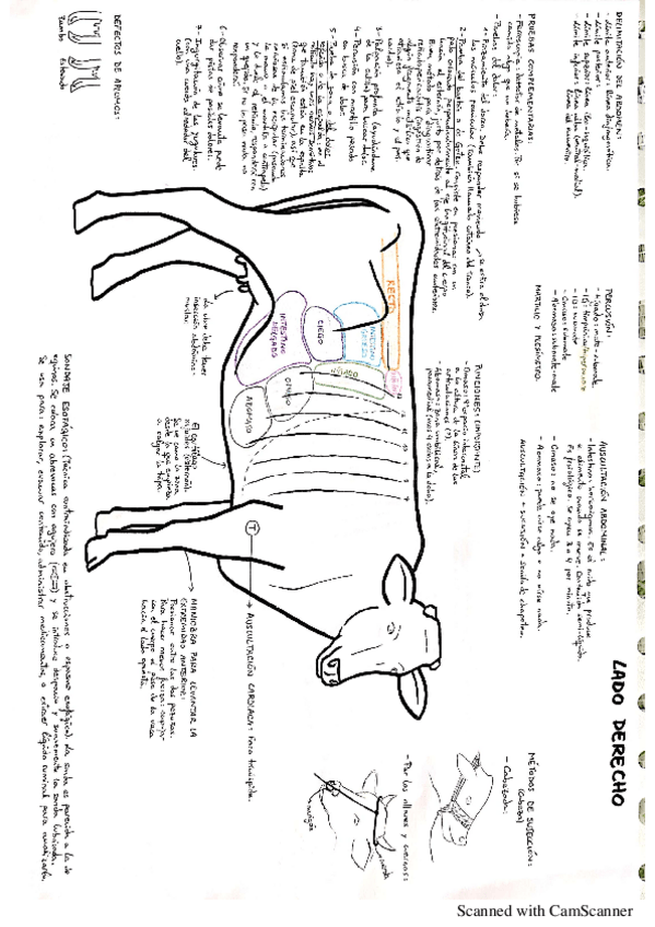 Miniatura del documento 244740.pdf