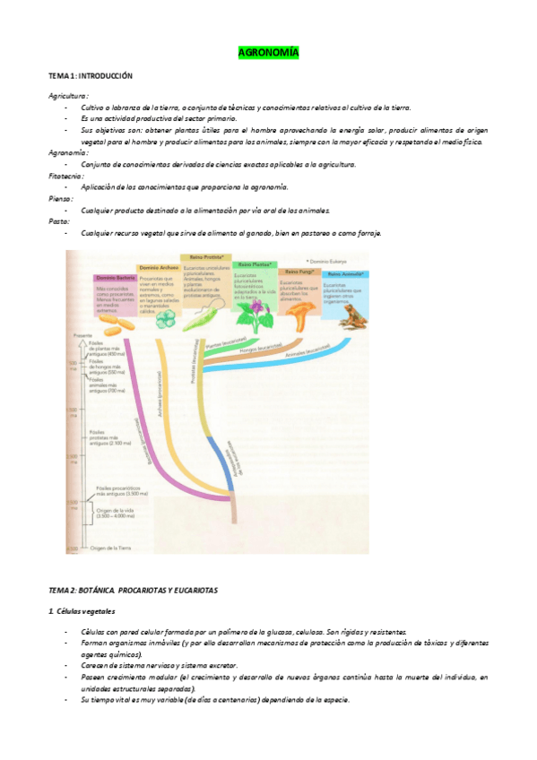 Miniatura del documento Word-BOTANICA.pdf