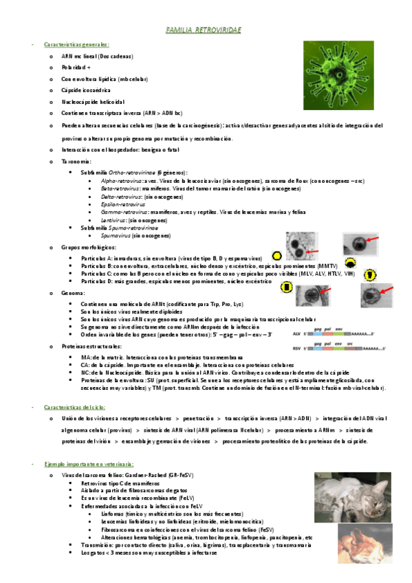 Miniatura del documento FAMILIA-RETROVIRIDAE-Tema-61.pdf