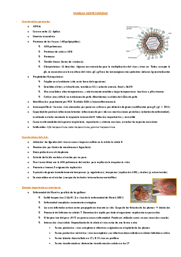 Miniatura del documento FAMILIA-HERPESVIRIDAE-Tema-51.pdf