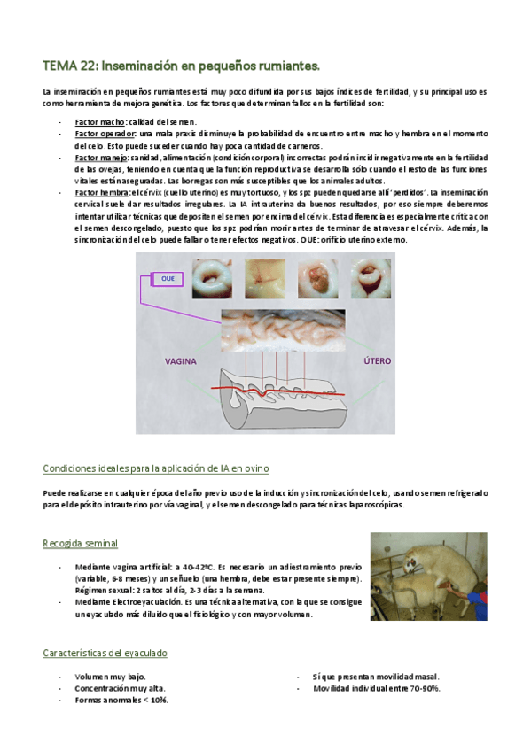 Miniatura del documento REPRODUCCION-22-final.pdf