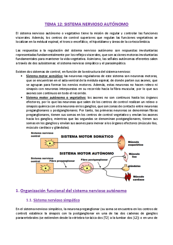 Miniatura del documento TEMA-12-Fisiologia.pdf