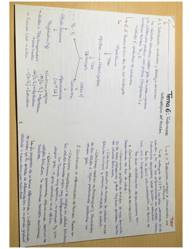 Miniatura del documento Tema-6.pdf