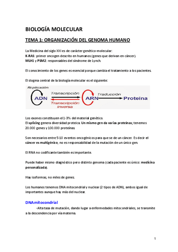Miniatura del documento Temas-1-2-y-3-BIO-MOL-Marta-Cuadros.pdf