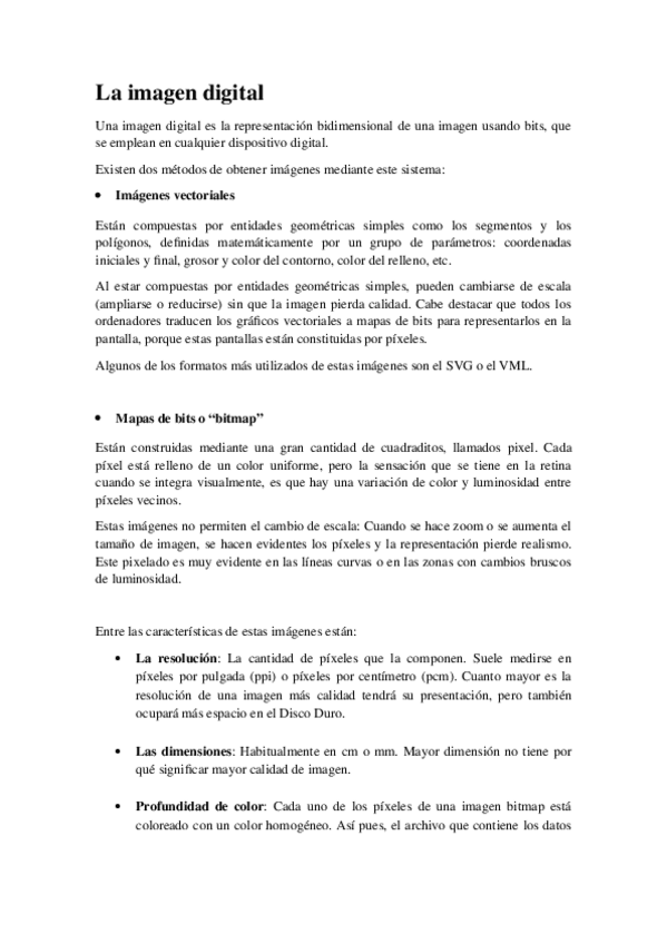 Miniatura del documento La-imagen-digital.docx
