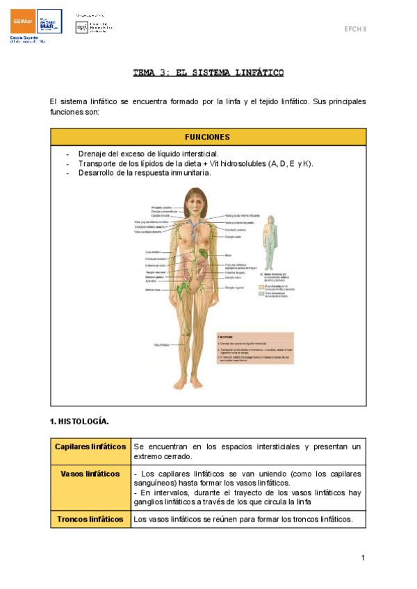 Miniatura del documento TEMA-3-EL-SISTEMA-LINFATICO.pdf