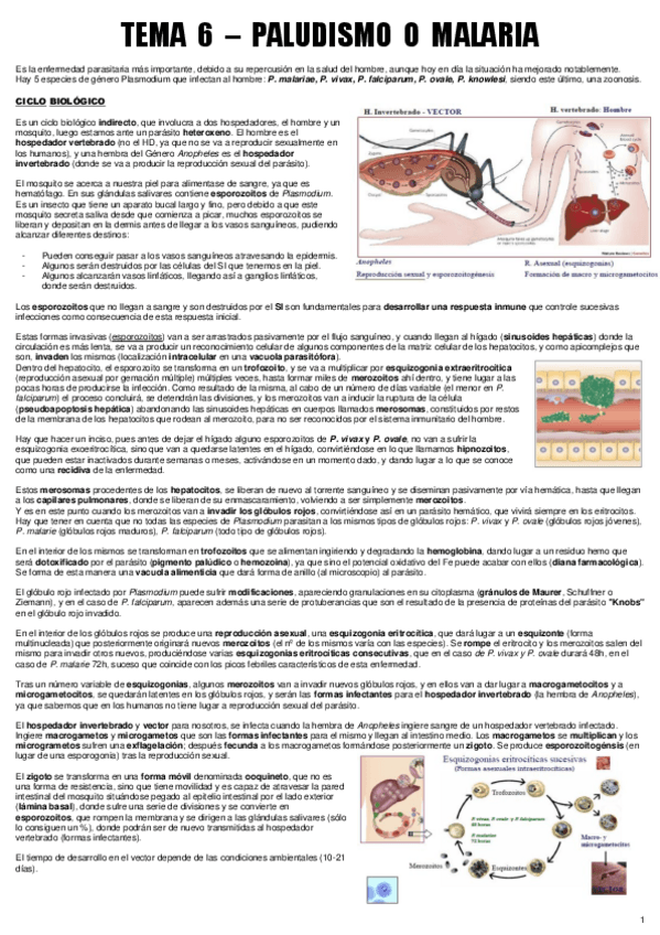Miniatura del documento TEMA 6 - ENF. PARA.pdf