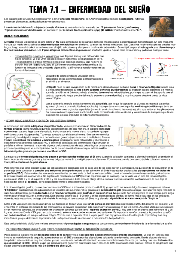 Miniatura del documento TEMA 7.1 - ENF. PARA.pdf