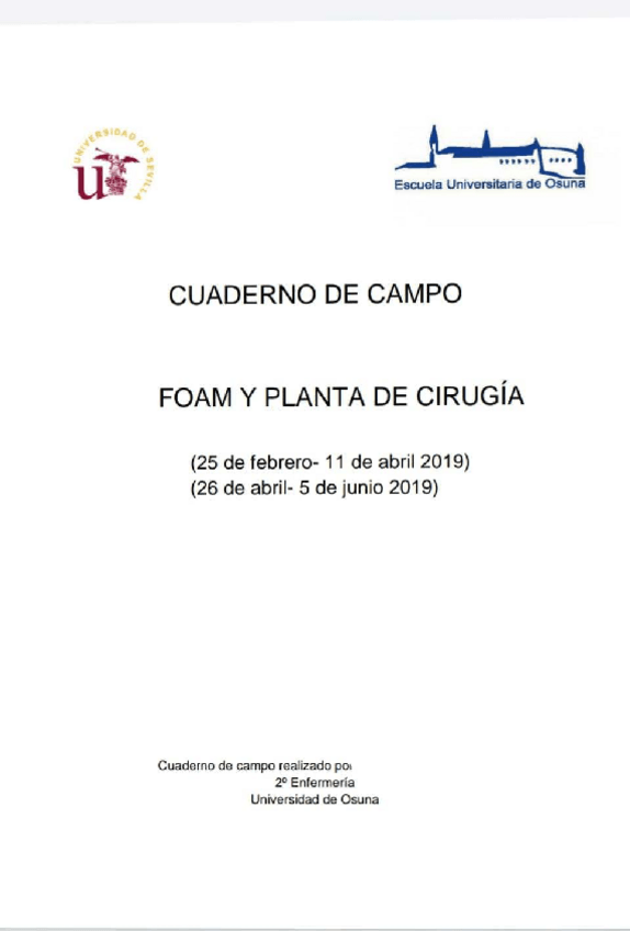 Miniatura del documento Diario-de-practicas-parte-1.pdf