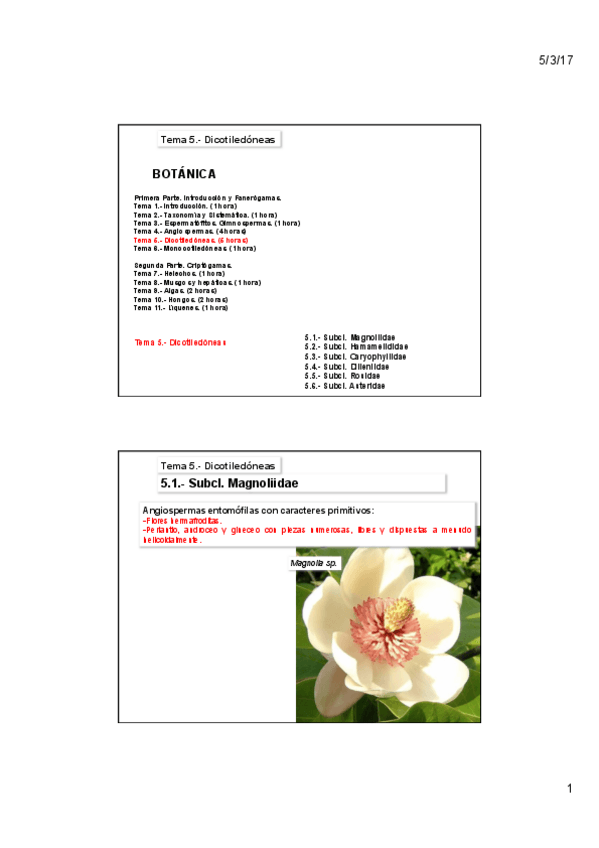 Miniatura del documento Tema-5A-Dicotiledoneas.pdf
