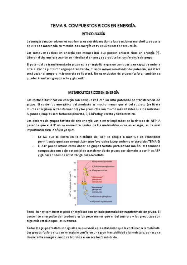 Miniatura del documento TEMA-3.pdf