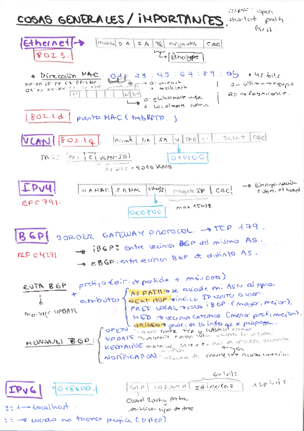 Miniatura del documento Resumen cosas importantes.pdf