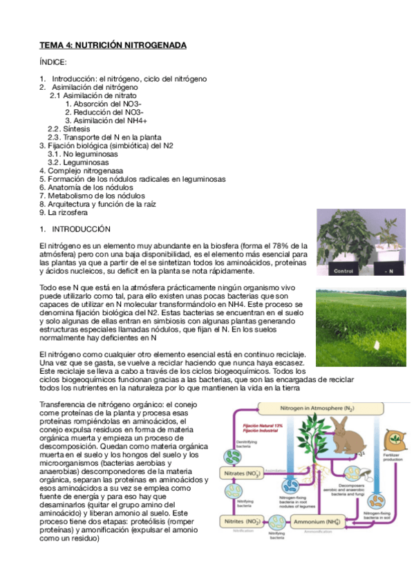 Miniatura del documento Fisiologia-vegetal-tema-4.pdf