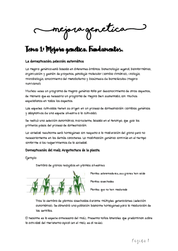 Miniatura del documento Apuntes.pdf