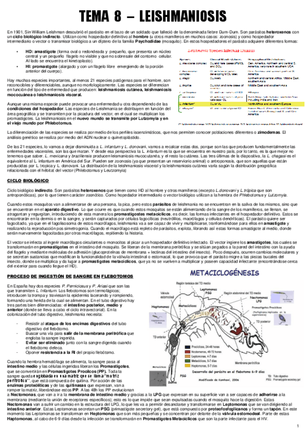 Miniatura del documento TEMA 8 - ENF. PARA.pdf