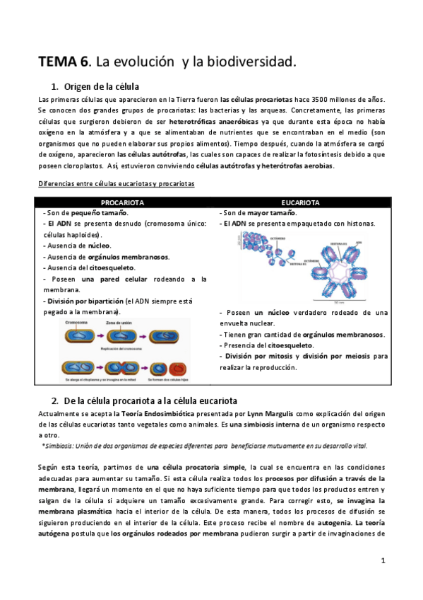 Miniatura del documento TEMA-6.pdf