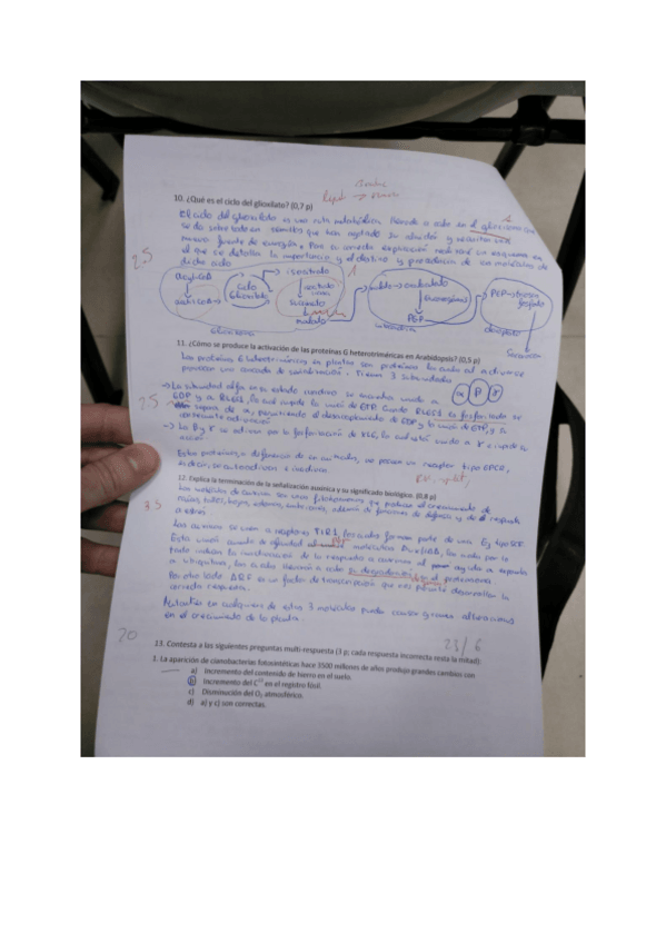 Miniatura del documento Documento-sin-titulo.pdf