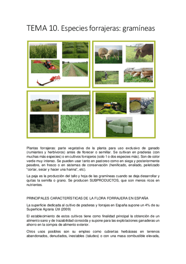 Miniatura del documento TEMA-10.pdf