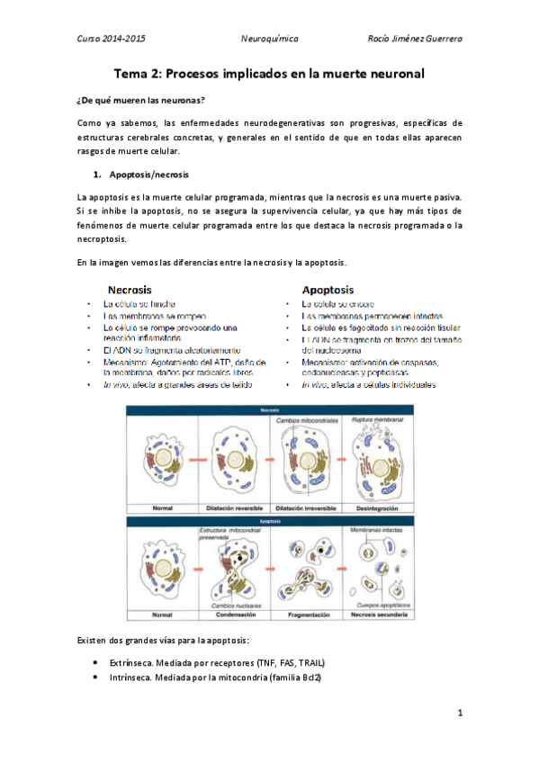 Miniatura del documento 2. Rocío.pdf