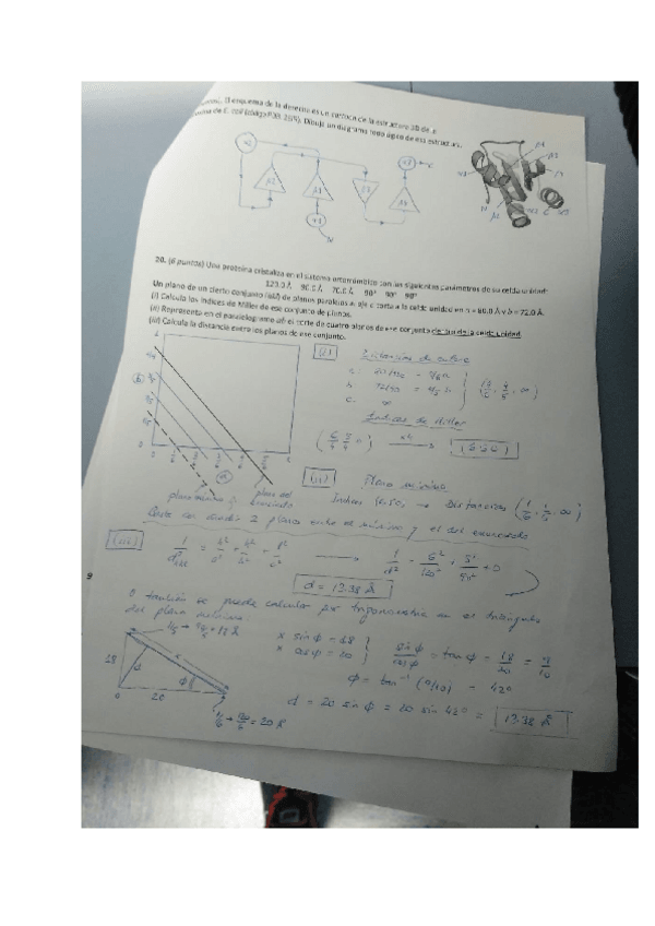 Miniatura del documento Documento-sin-titulo-5.pdf