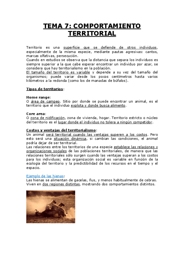 Miniatura del documento TEMA 7.pdf