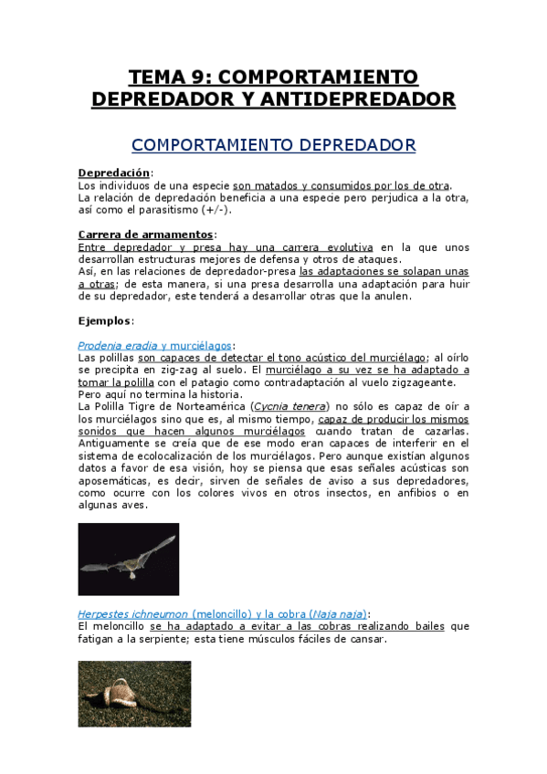Miniatura del documento TEMA 9.pdf