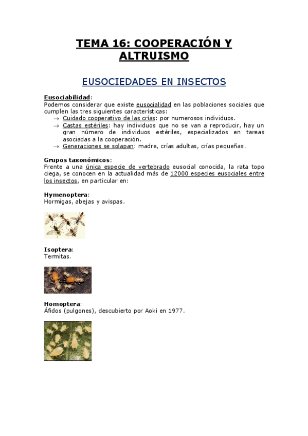 Miniatura del documento TEMA 16.pdf