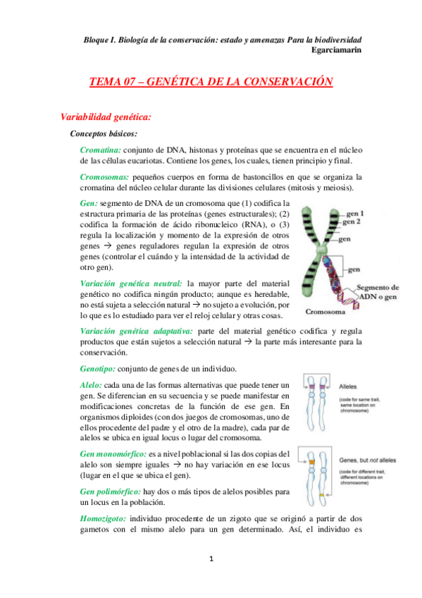 Miniatura del documento TEMA 07.pdf