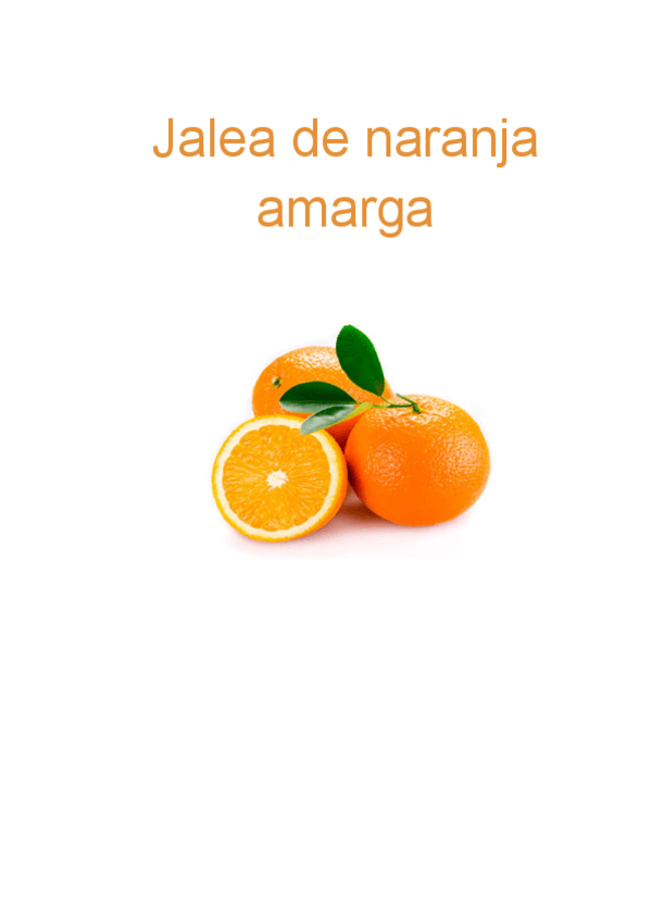 Miniatura del documento INFORME-JALEA-DE-NARANJA.pdf