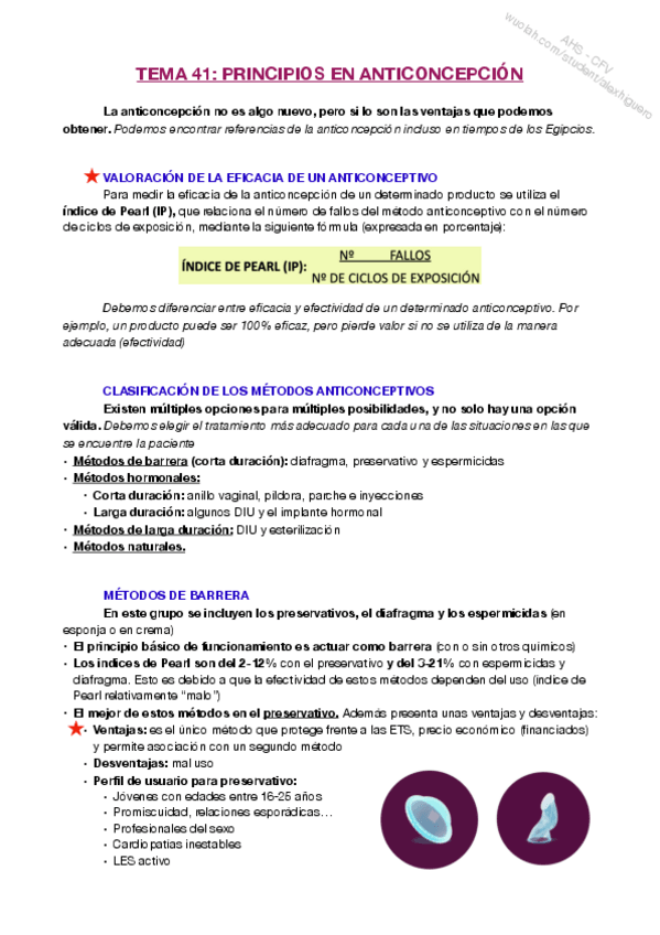Miniatura del documento T41.pdf
