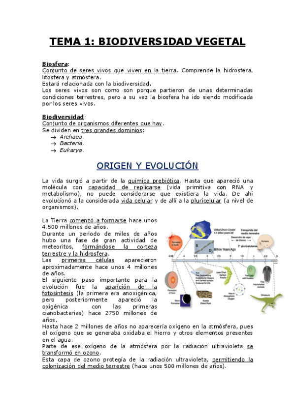 Miniatura del documento TEMA 1.pdf