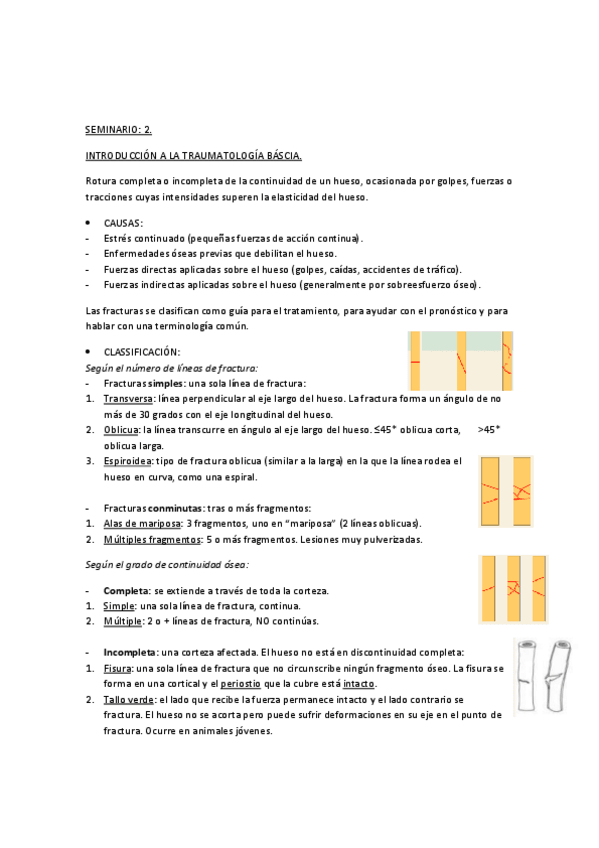 Miniatura del documento SEMINARIO-2-.pdf