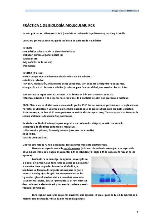 Miniatura del documento PRACTICA-1-DE-BIOLOGIA-MOLECULAR-PCR.pdf
