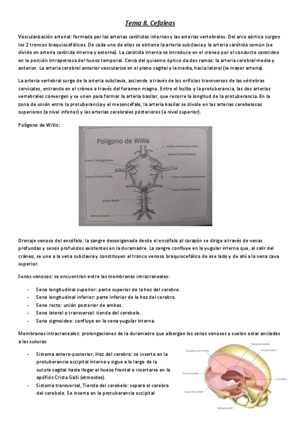 Miniatura del documento Tema-8.pdf