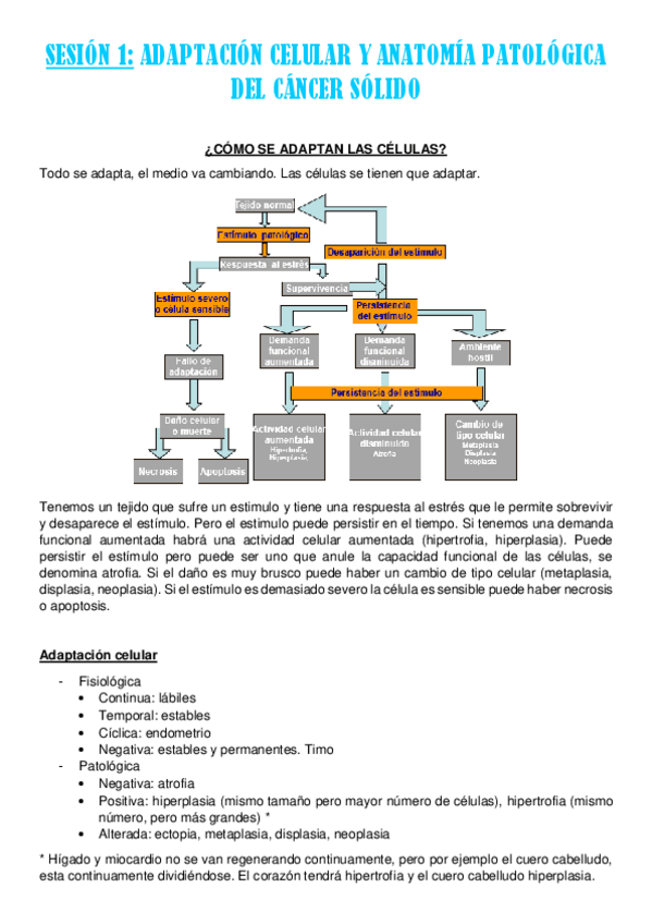 Miniatura del documento sesion-1.pdf