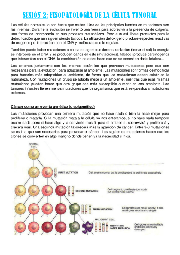 Miniatura del documento sesion-2.pdf