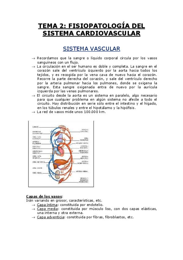 Miniatura del documento TEMA 2.pdf