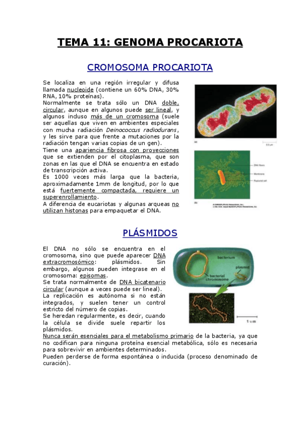 Miniatura del documento TEMA 11.pdf