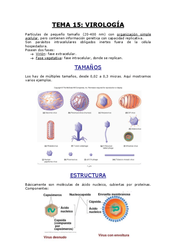 Miniatura del documento TEMA 15.pdf