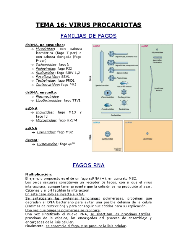 Miniatura del documento TEMA 16.pdf