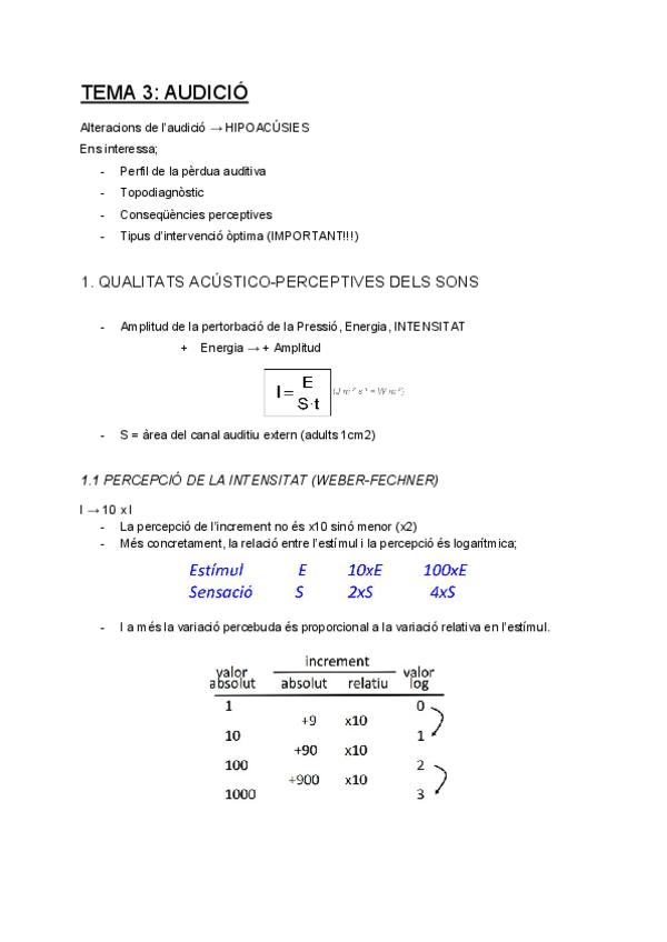 Miniatura del documento AUDICIO.pdf