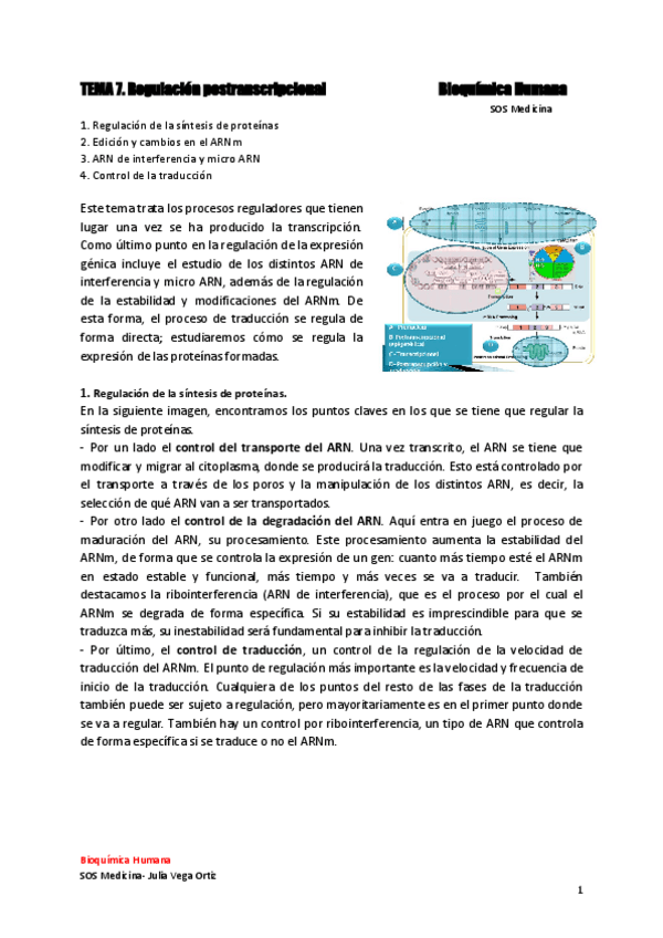 Miniatura del documento Tema-7_regulacion-postranscripcion.pdf