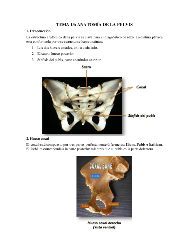 Miniatura del documento Tema-13.pdf