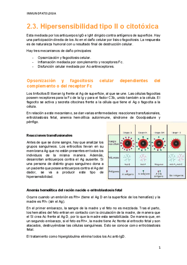 Miniatura del documento TEMA-2.pdf