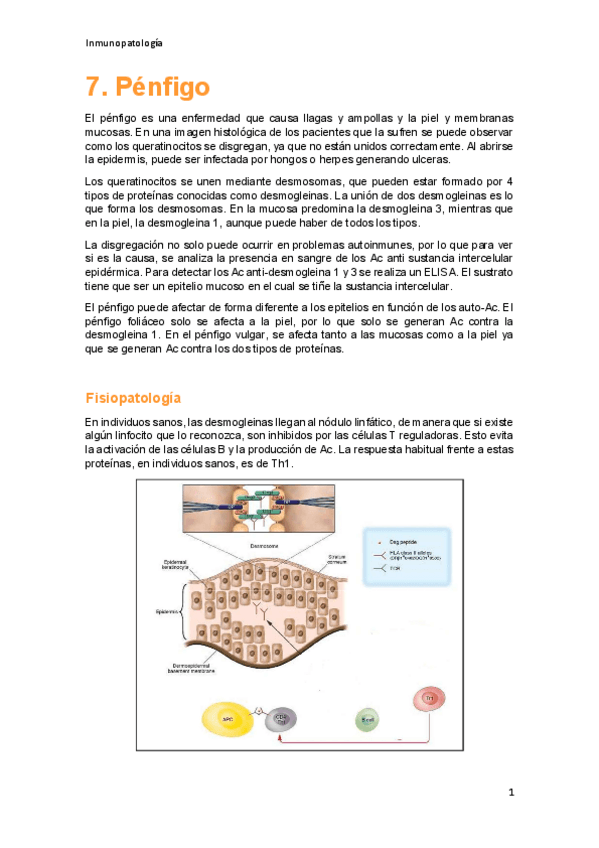 Miniatura del documento TEMA-7.pdf