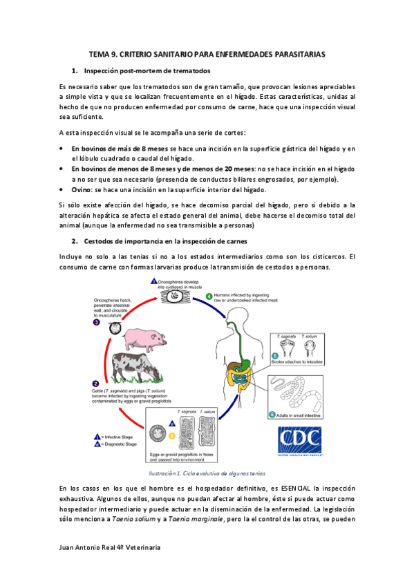 Miniatura del documento Tema-9.pdf