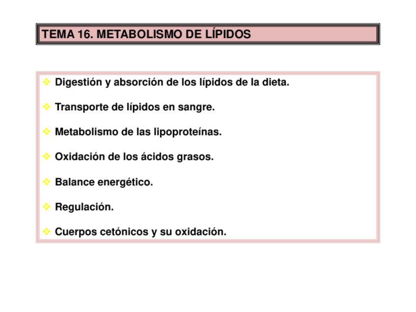 Miniatura del documento Tema-16.pdf