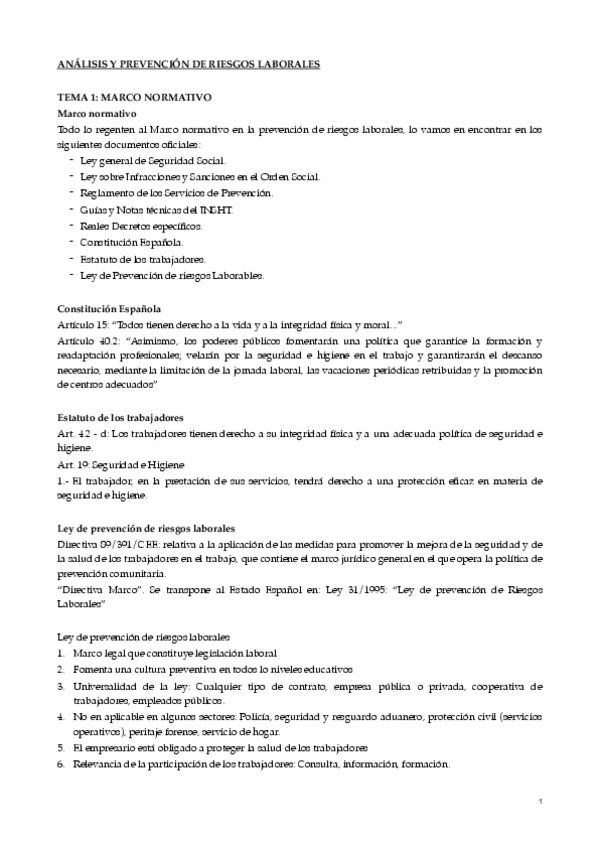 Miniatura del documento RESUMEN-PREVENCION.pdf