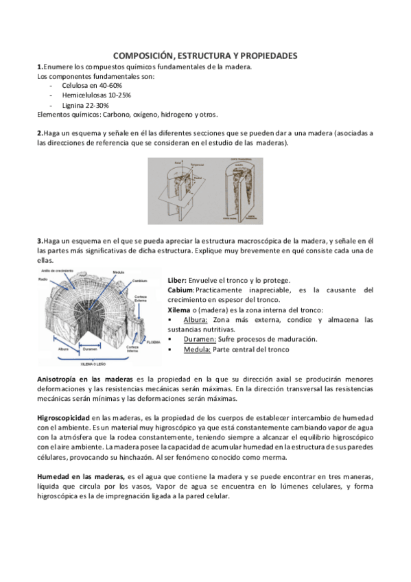 Miniatura del documento ConceptosMaderas.pdf