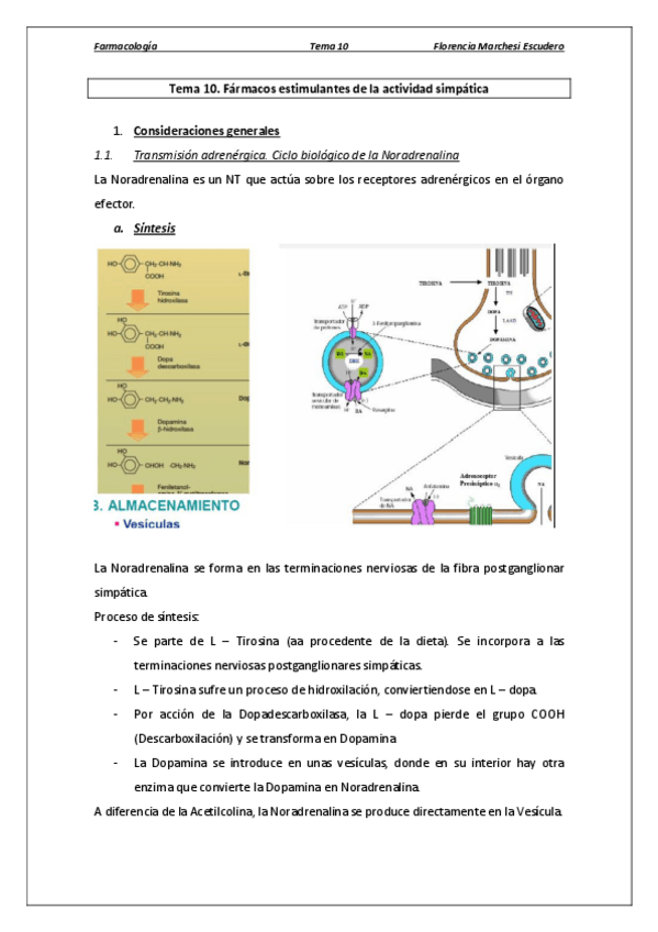 Miniatura del documento Tema 10 - Fármacos estimulantes de la actividad simpática.pdf